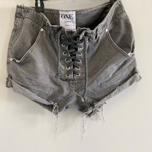One Teaspoon Gray Distressed Super Freaks Shorts